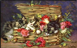 Kittens in Basket Postcard