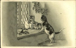 Cats in Window Sill Postcard Postcard