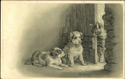 A Cat and Two dogs Postcard