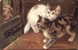 Unselcoome Visitors Cats Postcard Postcard