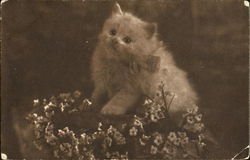 White Kitten with Flowers Cats Postcard Postcard