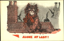 Alone At Last! Cats Postcard Postcard