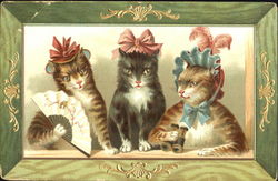 Cats dressed for an evening out Postcard Postcard