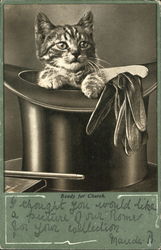 Cat in Top Hat Cats Postcard Postcard