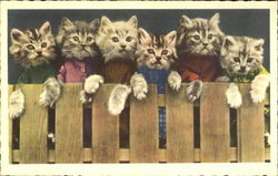 Kittens on a Fence Postcard