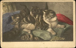 Cat with Kittens on Couch Postcard