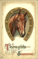 Thoughts Sincere Horses Postcard Postcard