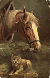 Horse & Dog Postcard