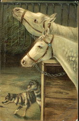 White Horses, Dogs Postcard