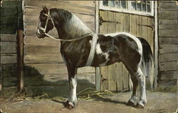 O. Eerelman Danish Horse Postcard