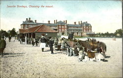 Seaside Donkeys Choosing The Mount Postcard