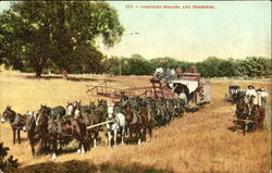 Combined Header And Thresher Postcard