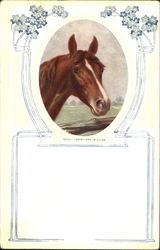 Ready And Willing Horses Postcard Postcard