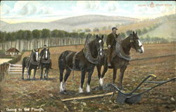 Going To The Plough Horses Postcard Postcard