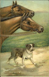 Horses and Bulldog Postcard