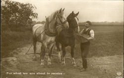 For What We Are About To Receive Horses Postcard Postcard