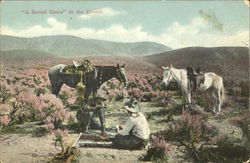 A Social Game In The Sesert Postcard