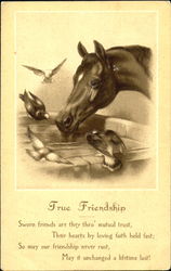 True Friendship Postcard