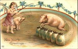 New Year Greetings Pigs Postcard Postcard