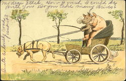 Pigs in Dog Cart Postcard Postcard