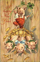 A Happy New Year Pigs Postcard Postcard