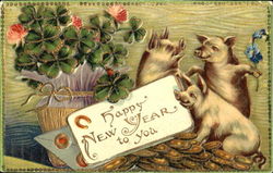 Happy New Year To You Pigs Postcard Postcard