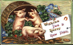 Wishing You A Happy New Year Pigs Postcard Postcard