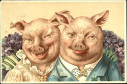 Pig Couple Postcard