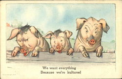 We Want Everything Because We're Kultured Pigs Postcard Postcard