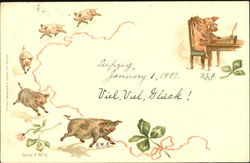 German Pigs Postcard Postcard