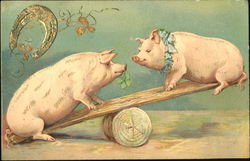 Pigs on Seesaw Postcard Postcard