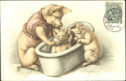 Bath Time Pigs Postcard Postcard