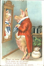 Handsome Pig Pigs Postcard Postcard