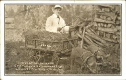 Prof Arthor Brissette & The Famous Cottonwood Pigs Postcard