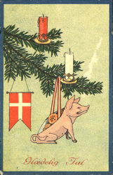 Gloedelig Tul Pigs Postcard Postcard