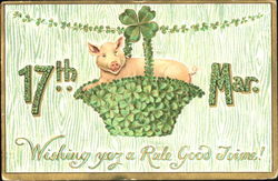 17th March Wishing Yez A Rale Good Joine! Pigs Postcard Postcard