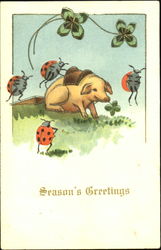 Season's Greetings Pigs Postcard Postcard