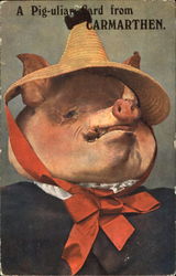 A Pig-Uliar Card From Carmarthen Pigs Postcard Postcard