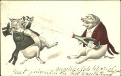 Champagne Pigs Postcard Postcard