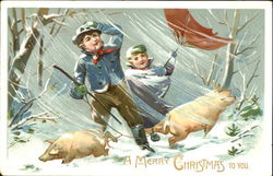 A Merry Christmas To You Pigs Postcard Postcard