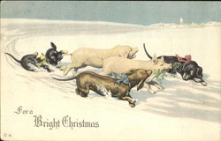 For A Bright Christmas Postcard