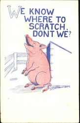 We Know Where To Scratch Don’T We? Pigs Postcard Postcard