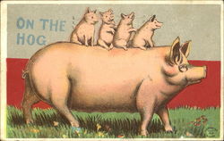 On The Hog Pigs Postcard Postcard