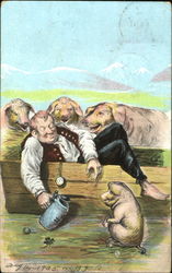 Drunk Pigs Postcard Postcard