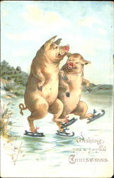 Pigs Ice Skating Postcard Postcard