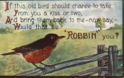 Robbin Birds Postcard Postcard