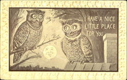 I Have A Nice Little Place For You Birds Postcard Postcard