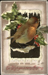 To Wish You A Merry Christmas Birds Postcard Postcard