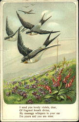 Birds Postcard Postcard