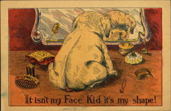 It Isn't My Face Kid It's My Shape Postcard